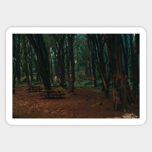 Into the forest II Sticker